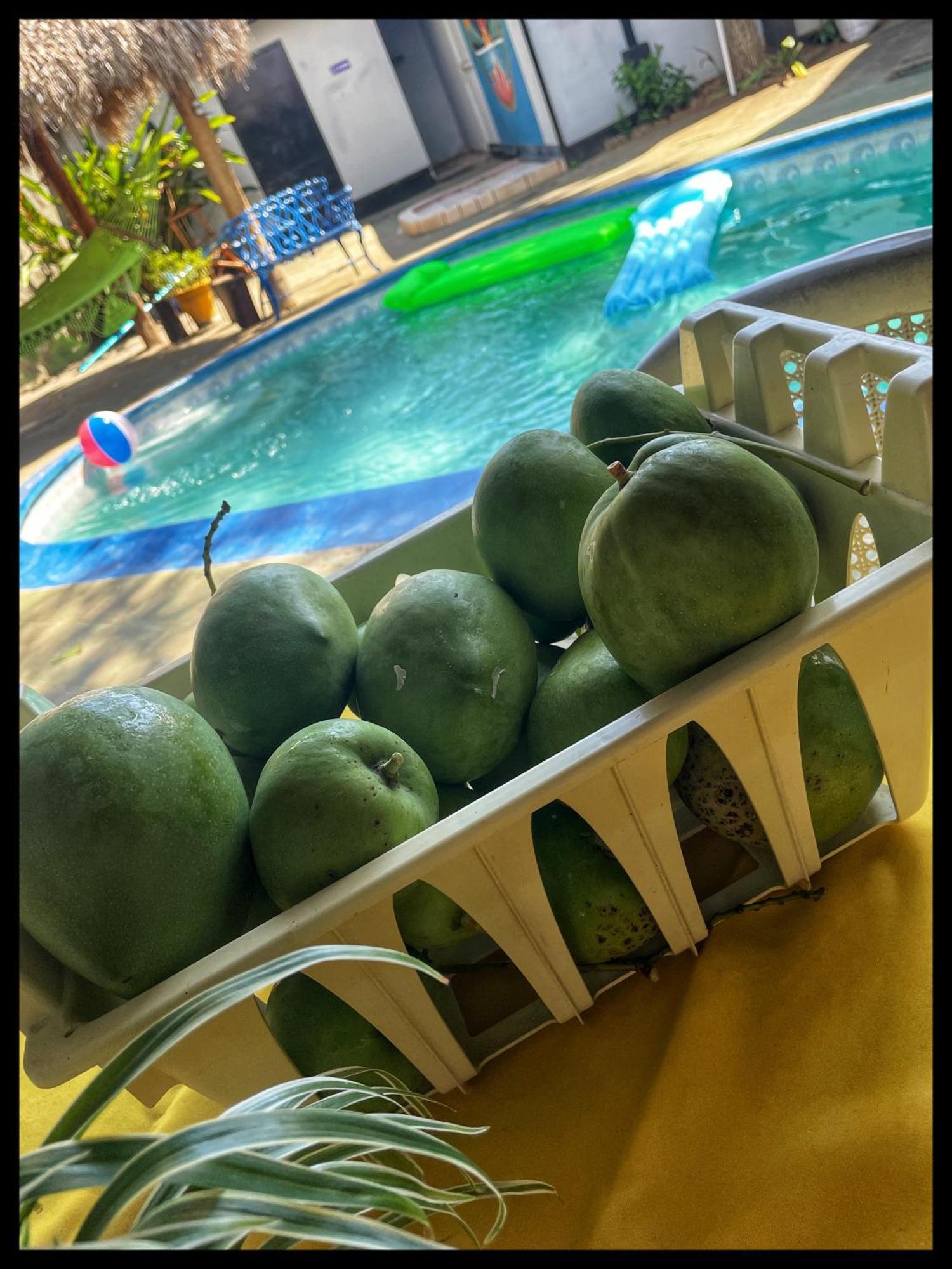 Managua Hotel Oasis المظهر الخارجي الصورة